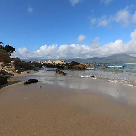 Apartament En Rez De Jardin Foce