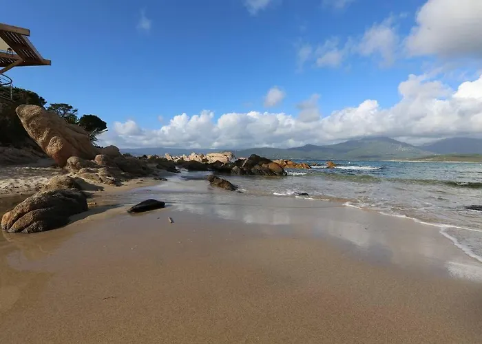 Daire En Rez De Jardin Foce