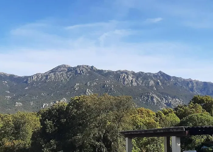 Apartment En Rez De Jardin *